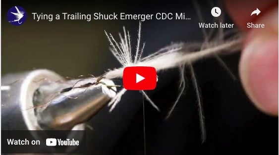 Tying a Trailing Shuck x Transitional Midge Fishing Fly